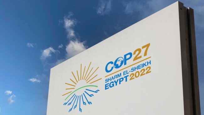 COP-27